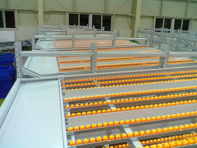 ����ʽ؛��